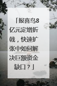 报喜鸟8亿元定增折戟，快速扩张中如何解决巨额资金缺口？